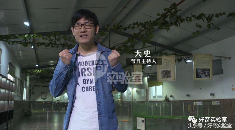 蛇和蛇打结会自己解开吗,蛇打个死结能自己解开吗