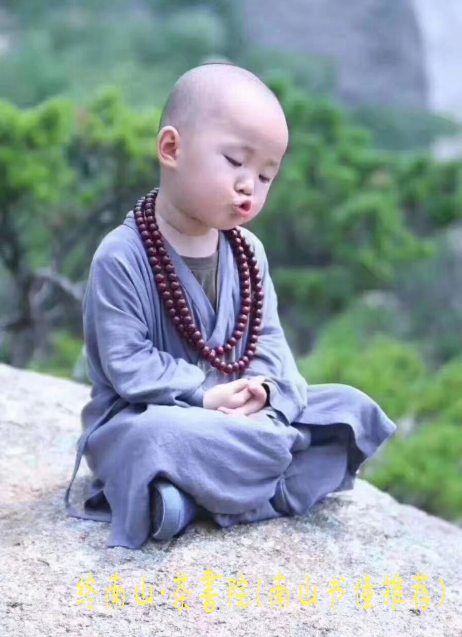 太乙游龙山终南茶书院——《问道》南山书僮文/尉迟英子