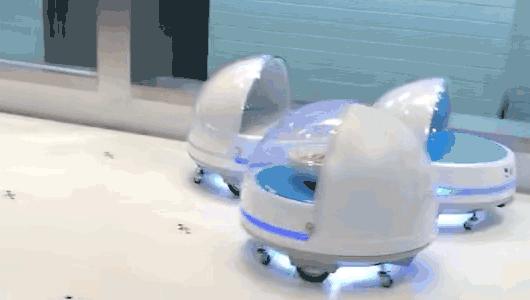 进博会指定餐饮,第三届进博会美食攻略