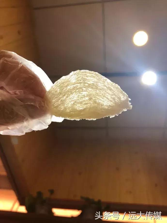 喜窝食品,喜窝窝燕窝