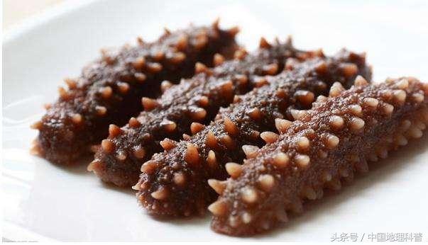 辽宁省的自然地理和人文地理,辽宁地理风光分布图