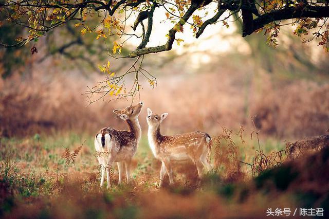 70张让人大开眼界的照片,50张让人惊艳的照片