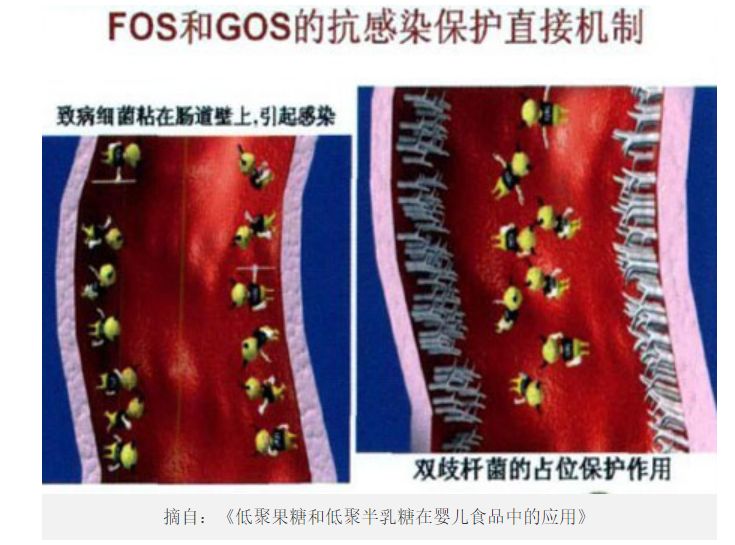 如何选购澳洲奶粉选哪种比较好,给宝宝选择奶粉确实是一门学问
