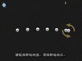 新手也能学会的乒乓球必杀技,乒乓球必学的17种打法