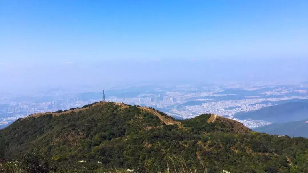 向世界推介深圳,深圳向世界发出邀请