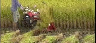 民间牛人机械的各种发明视频,农民自己发明的各种机械