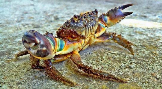 女子怀孕4个月遭丈夫打报警后续,老婆怀孕4个月突然见红