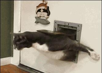 键盘上的字母为什么不按abcd排列,为什么键盘上的字母顺序不是abcd