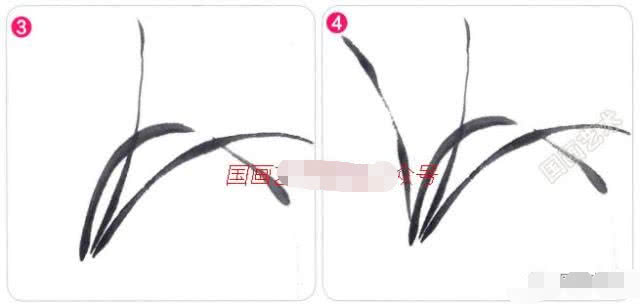 写意兰花的基本画法视频,写意兰花的画法技法视频