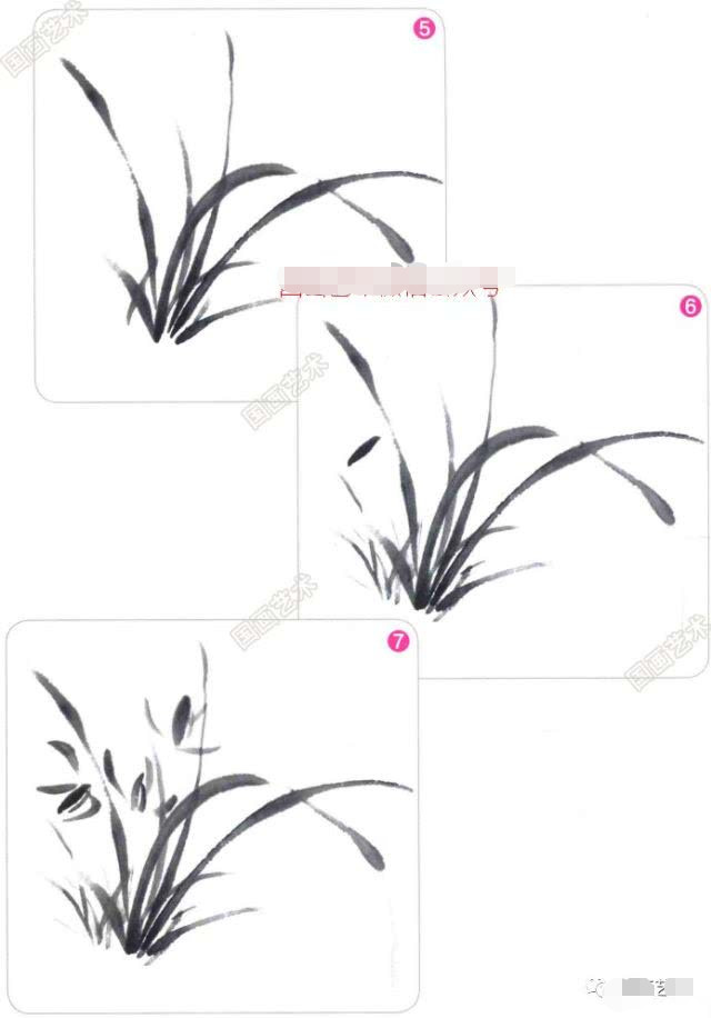 兰花国画写意画法初学者教程,国画教程写意兰花示范讲解
