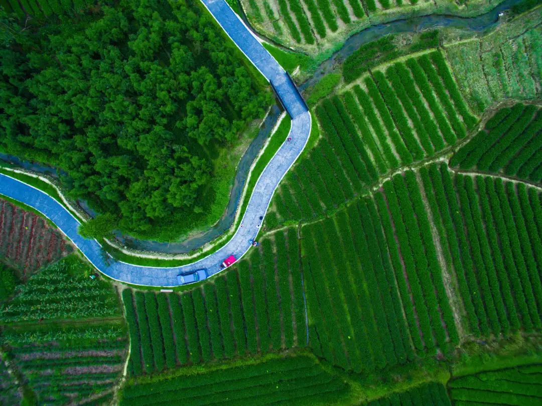 致世界文化名城成都，来自星巴克的邀请