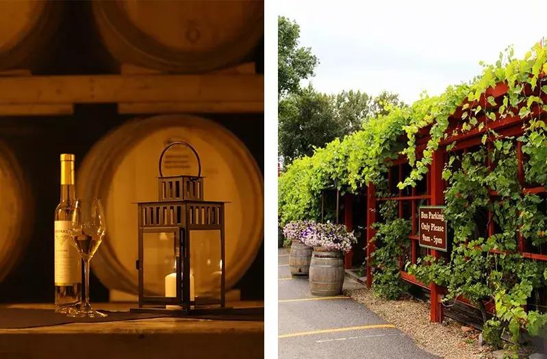 style鐜板満鐗堝浼﹀ (鐧惧彉澶氫鸡澶歴tyle)