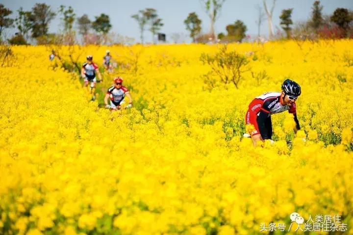 「特色小镇」国际慢城的从容境界：南京桠溪