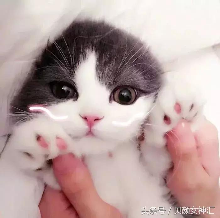 法国小众护肤品排行,让人惊艳的小众护肤品