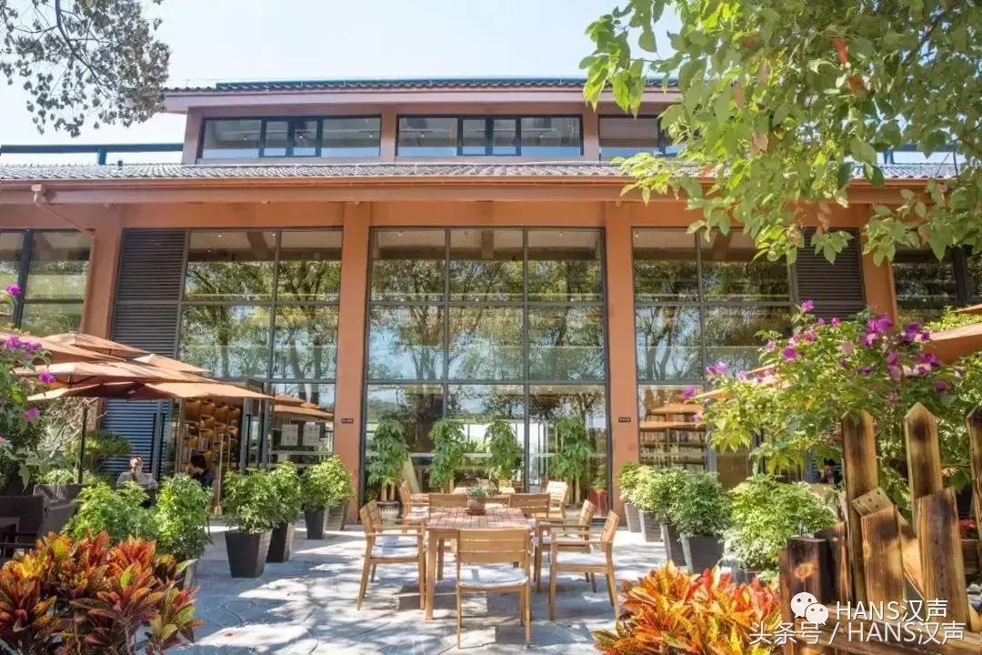 HANS城报｜喜茶开业星巴克外卖来了！11月武汉这些地方值得去浪