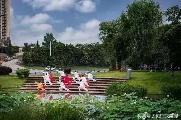 龙泉驿各镇实力排名,2019千强镇排名四川