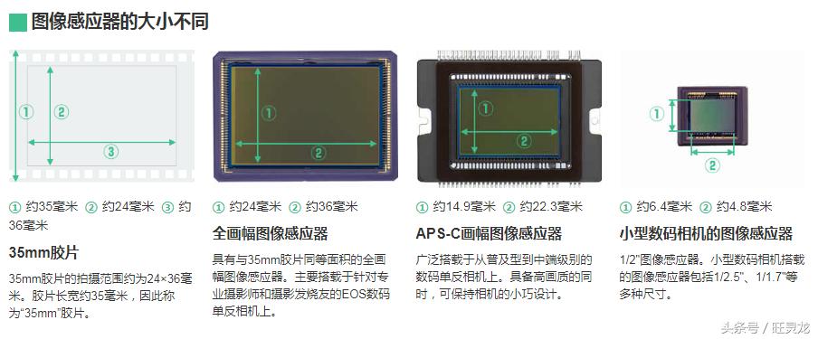 佳能单反相机型号排名及价格eosrp,现在佳能单反相机什么型号比较好