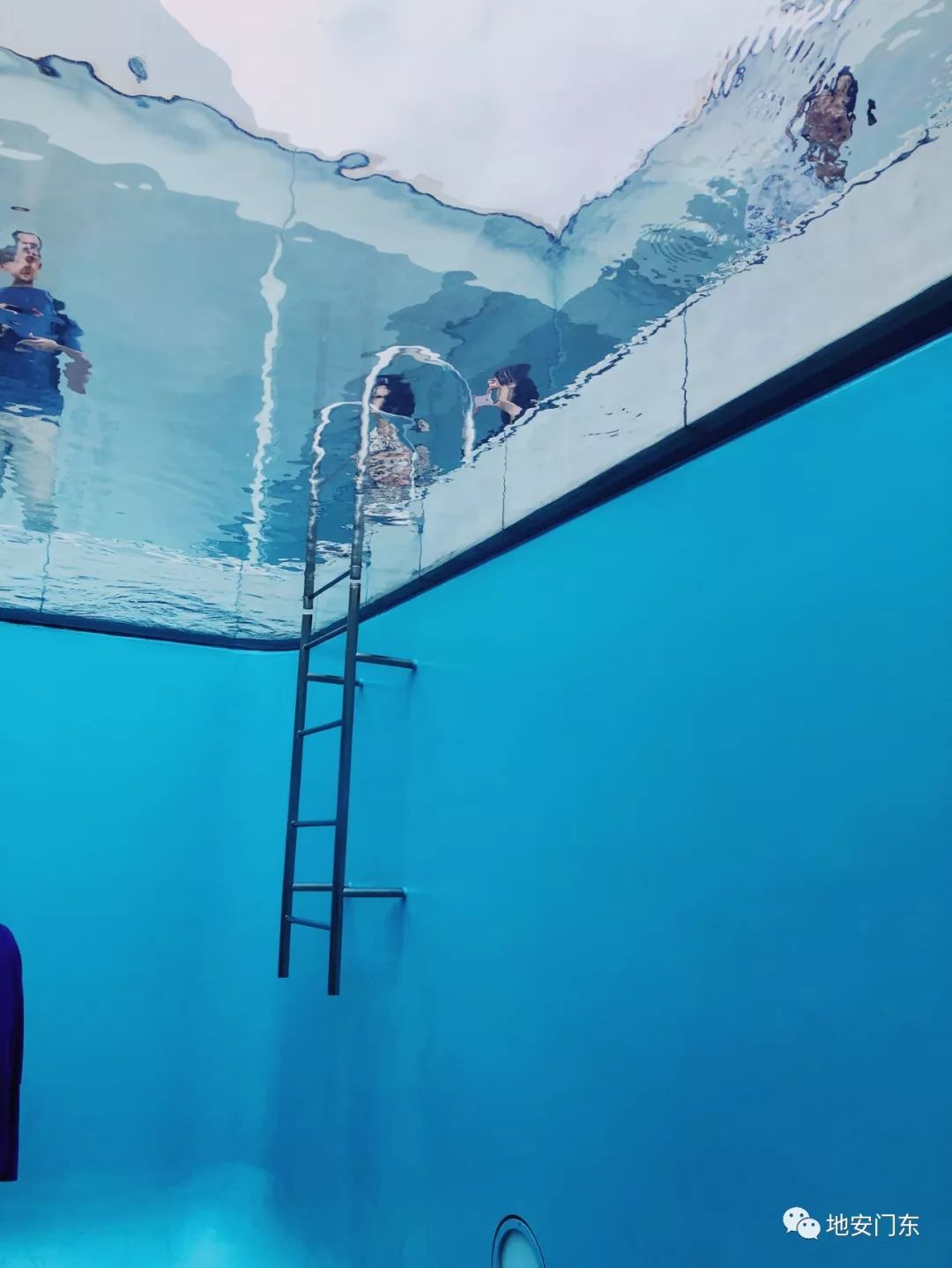 日本高品质小锦鲤,日本金泽市北陆