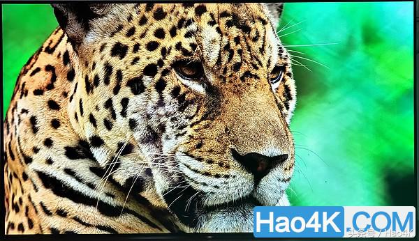 <html>
<head><title>502BadGateway</title></head>
<body>
<center><h1>502BadGateway</h1></center>
<hr><center>nginx</center>
</body>
</html>
<!--apaddingtodisableMSIEandChromefriendlyerrorpage-->
<!--apaddingtodisableMSIEandChromefriendlyerrorpage-->
<!--apaddingtodisableMSIEandChromefriendlyerrorpage-->
<!--apaddingtodisableMSIEandChromefriendlyerrorpage-->
<!--apaddingtodisableMSIEandChromefriendlyerrorpage-->
<!--apaddingtodisableMSIEandChromefriendlyerrorpage-->
