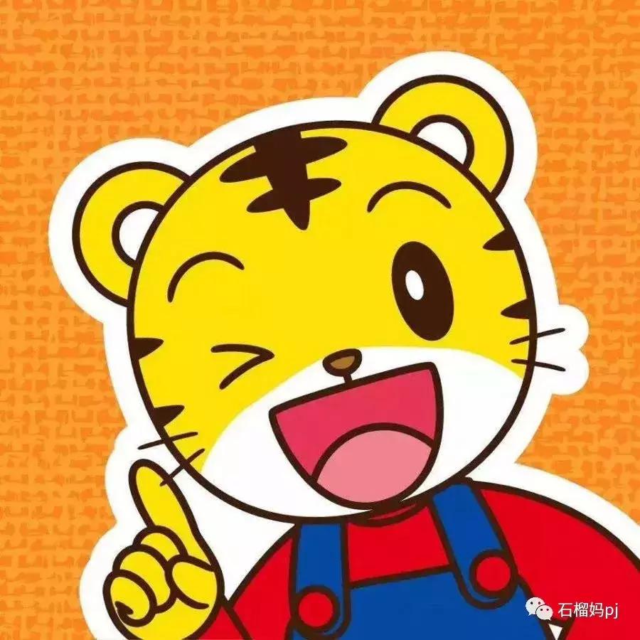 巧虎乐智小天地是正版吗,巧虎乐智小天地2008版