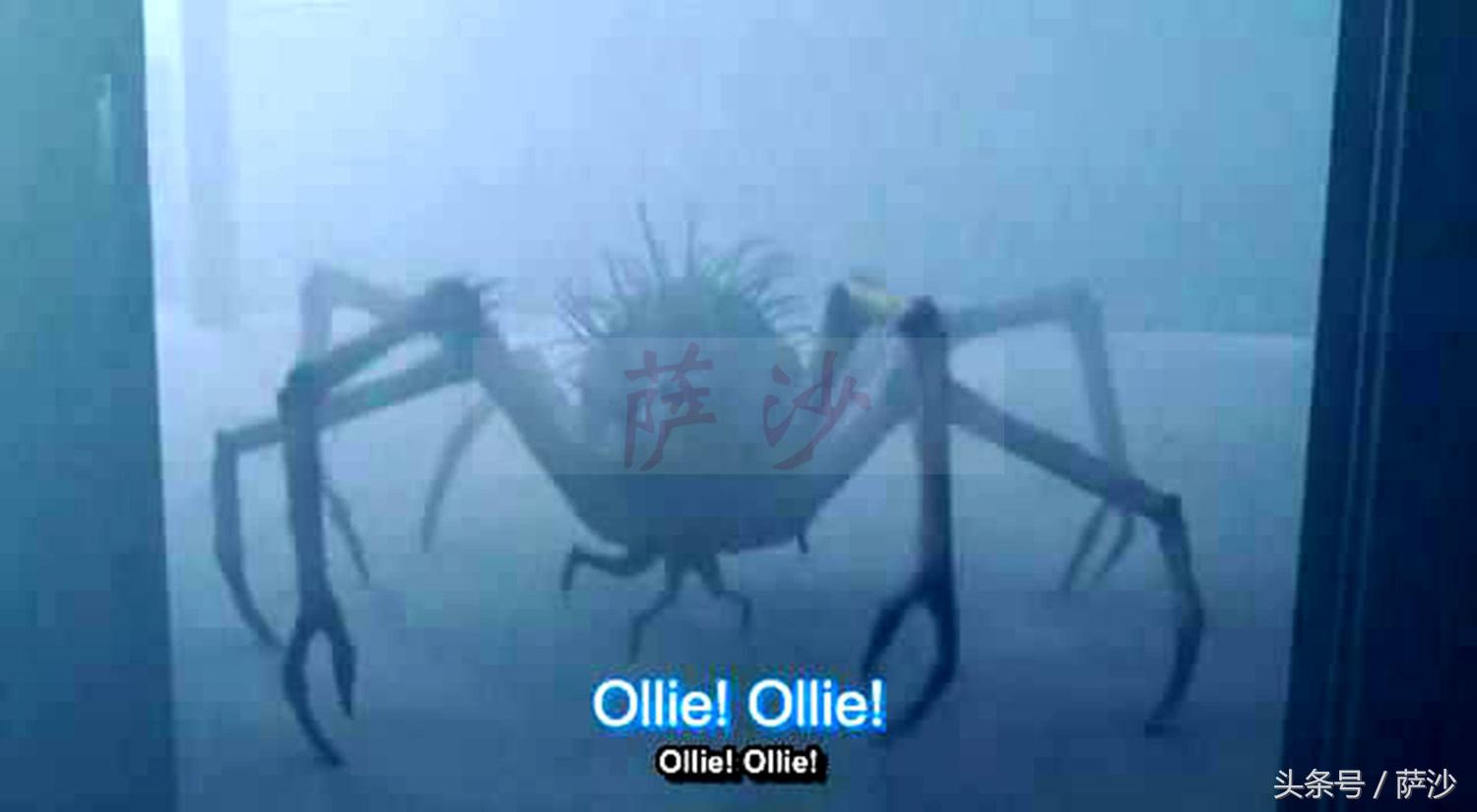 绉戝够鎯婃倸鐢靛奖杩烽浘,瑙ｈ绉戝够鐢靛奖杩烽浘