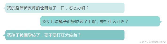 小松鼠咬了一口要打针吗,被松鼠咬了一年了打针能活多久