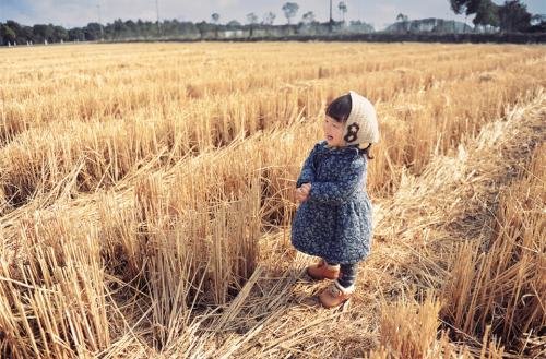 麦田里的守望者原创视频,麦田里的守望者创作的原声