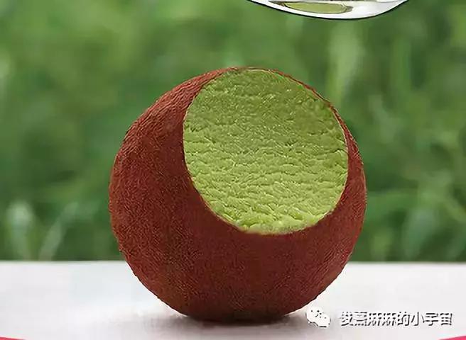 2023年春季种草大会,种草大会自然堂