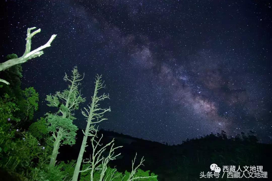 不可思议的林芝：高原荒凉刻板印象的颠覆者