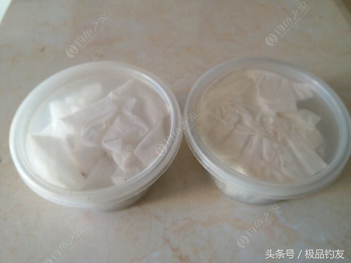 野钓红虫颗粒使用方法,冬季红虫野钓鲫鱼技巧