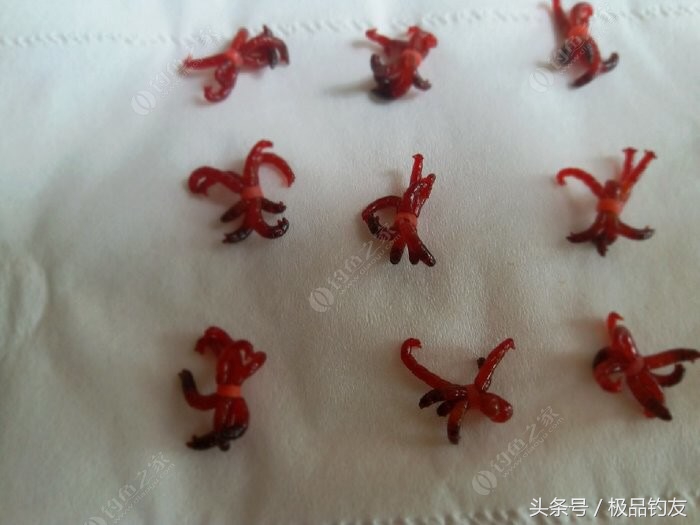 野钓红虫颗粒使用方法,冬季红虫野钓鲫鱼技巧