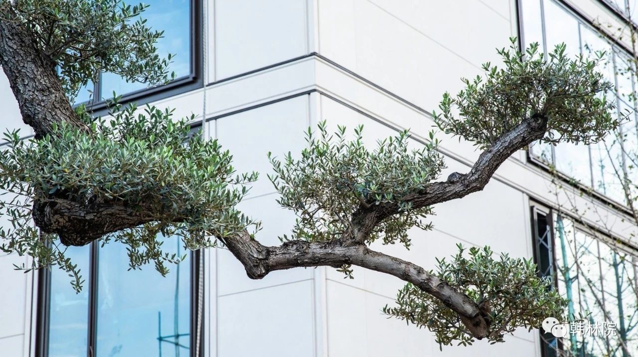 郑州富人区一览表,郑州富人区的幸福生活