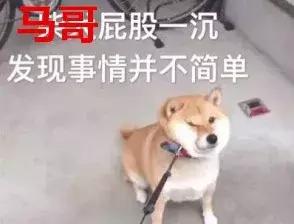 2000人的qq群怎么解散,刚加了qq群就被解散了