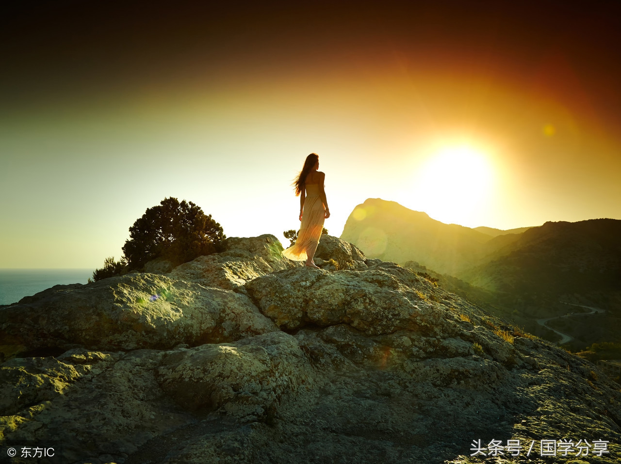 素书全文译文大全,素书原文及译文精注精解