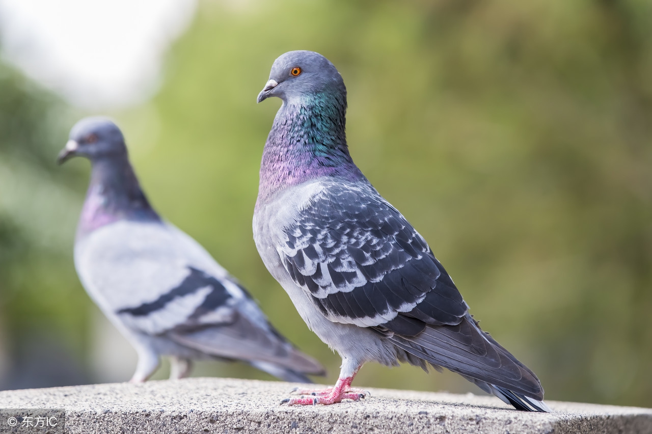 跟大师学功夫,跟大师学习维修