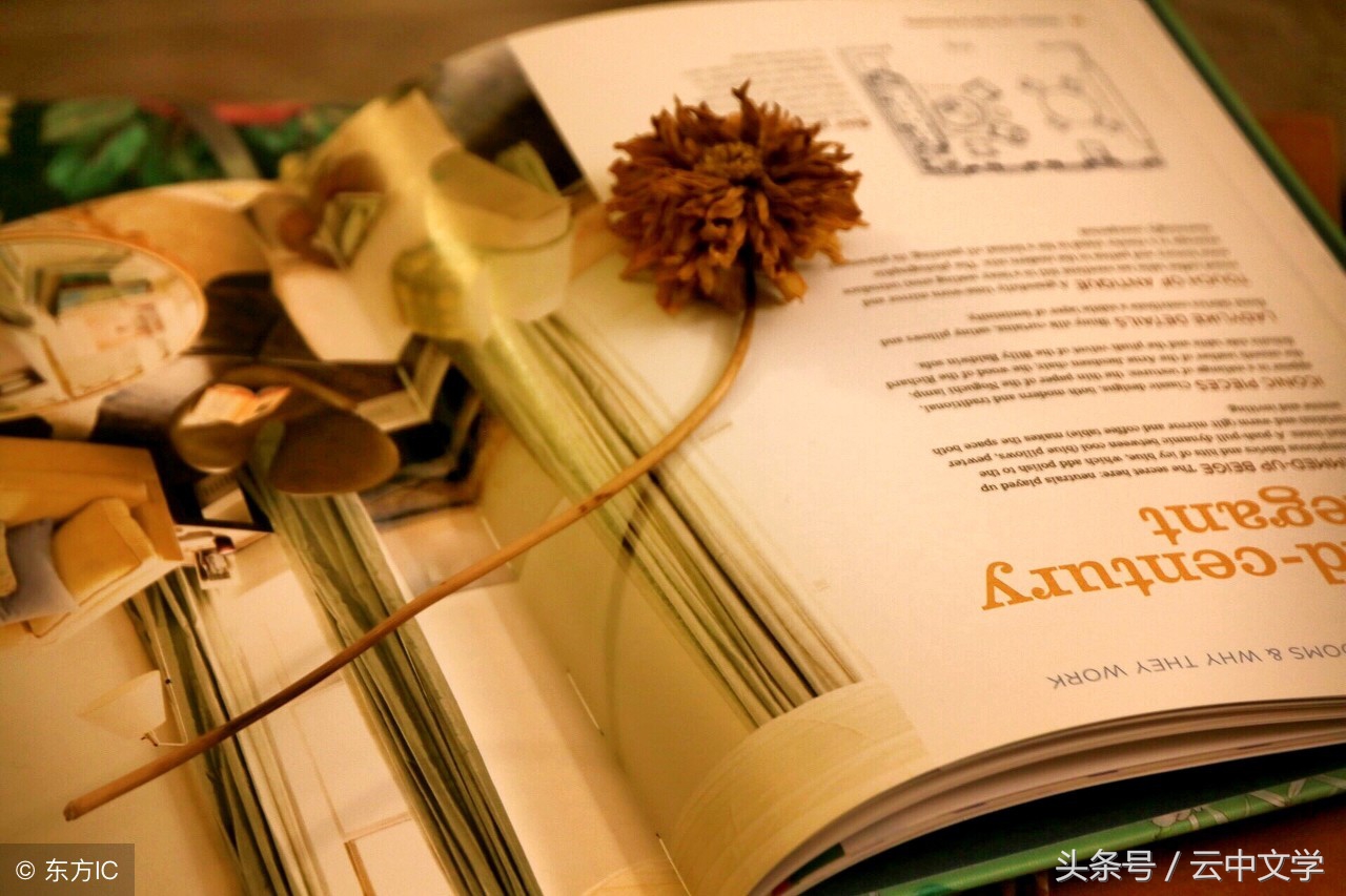 高中语文必修四五个文学常识,高中语文文学常识大全教材