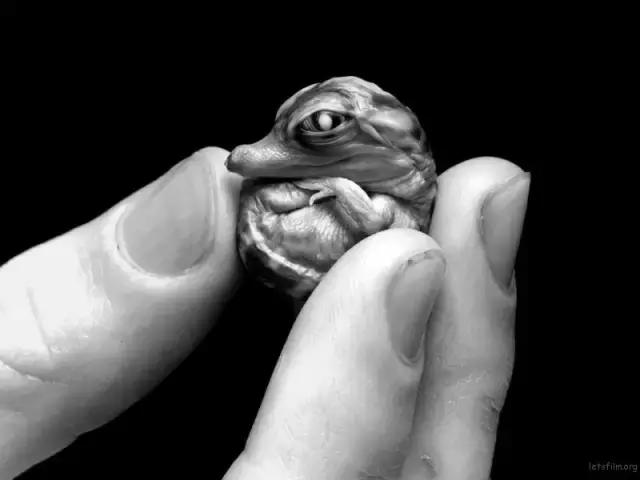 大家今年拍过最好看的照片,近期拍的最好看的照片