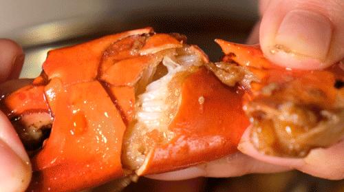 广州虾蟹火锅,油爆蟹火锅哪家好