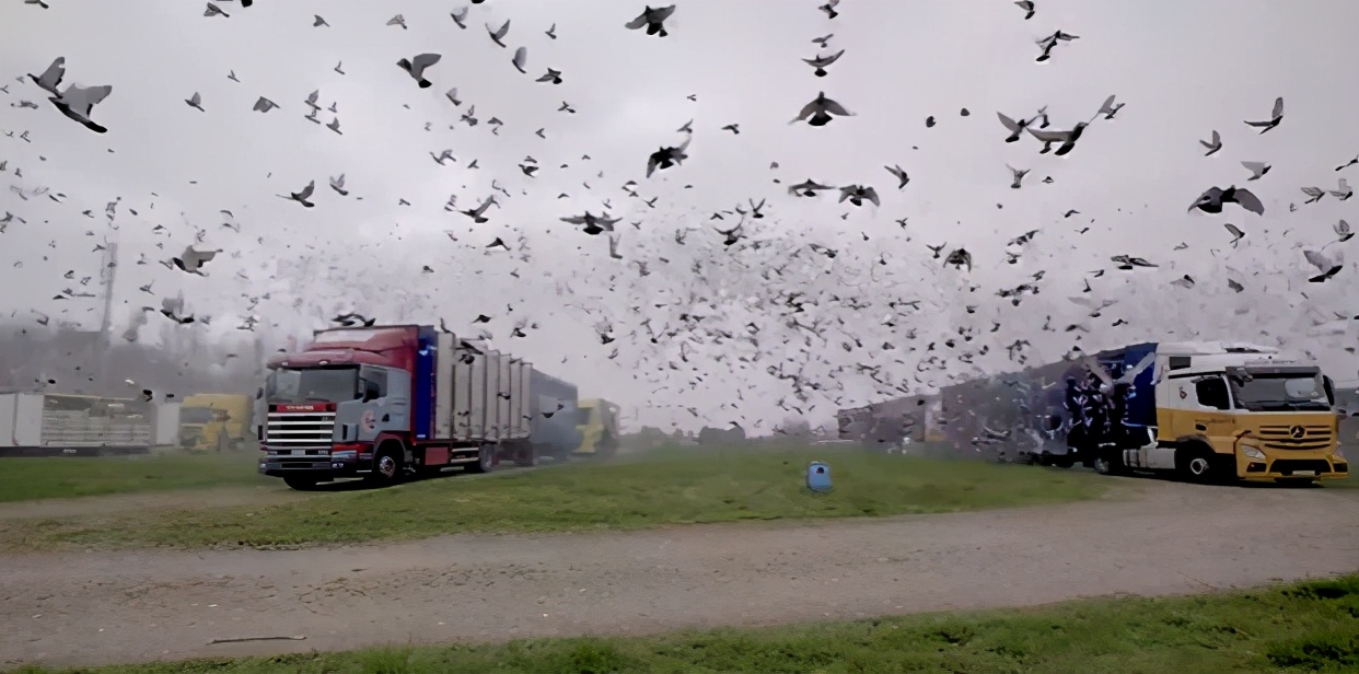 点外卖你不知道的那些事,你永远不知道你的外卖经历了啥