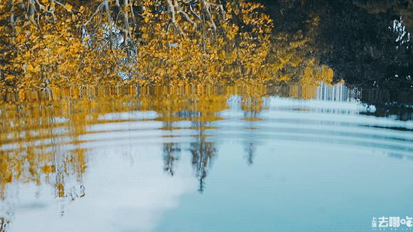 上海国庆免费景点推荐,上海值得去的免费景点旅游攻略