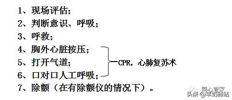 双人cpr心肺复苏术ppt,cpr心肺复苏标准操作流程