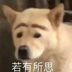 心之所向死于向往,心之所向爱的取向