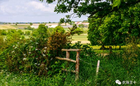 总共花了不到700元改造的废弃小院,花4万改造房子