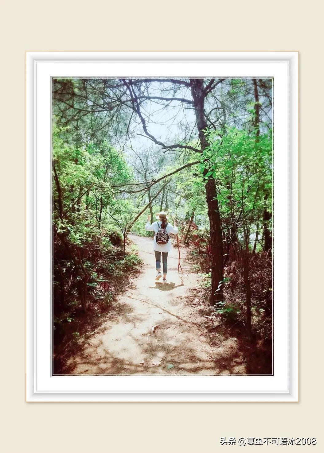 微课在物理教学中的应用,微课在物理教学中的应用论文