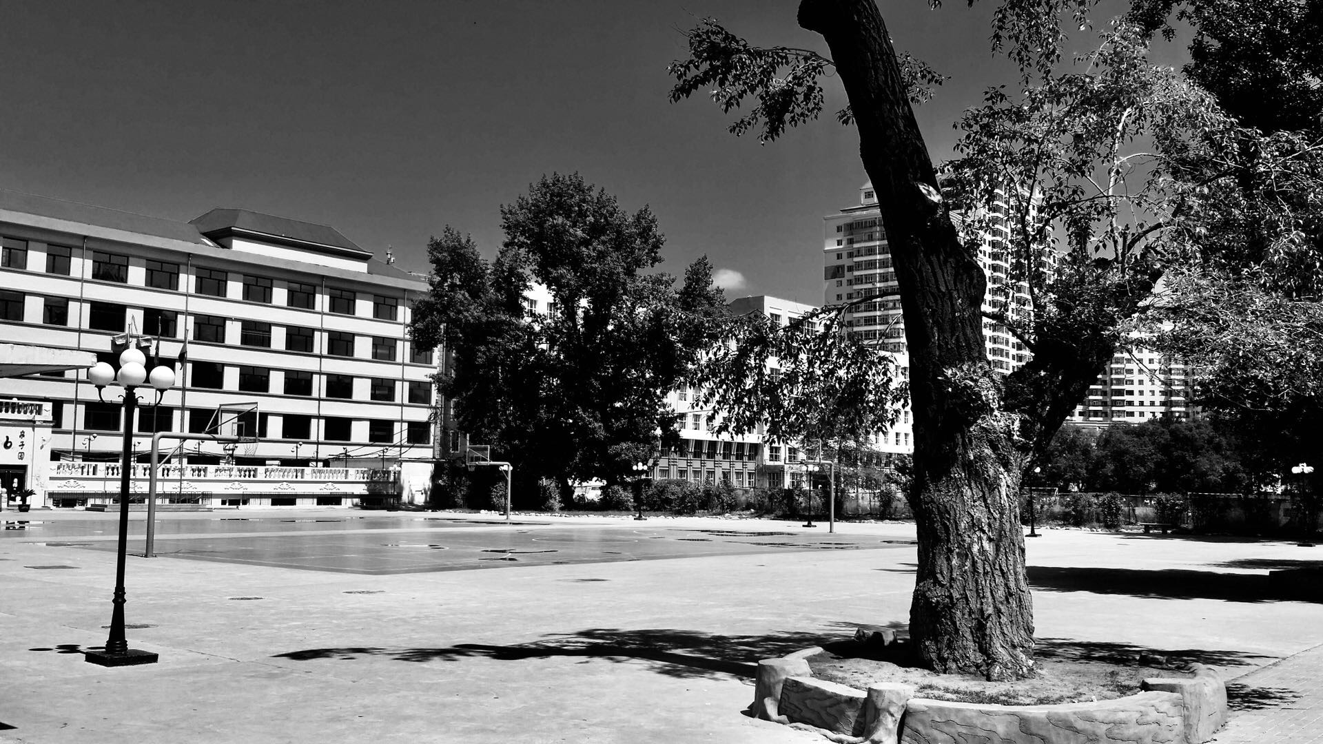 小学难忘的回忆,难忘的小学活作文