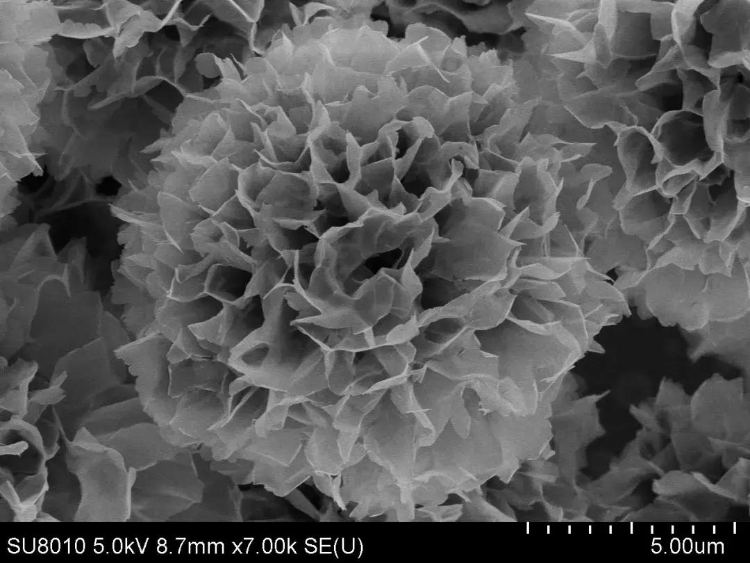 摄影大赛征稿|赋予色彩的世界