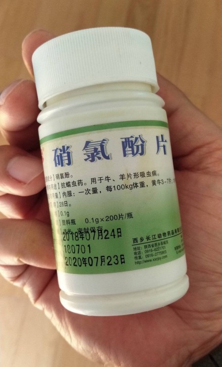 一小区多条狗被毒死怎么办,狗狗误食敌敌畏中毒有什么解法