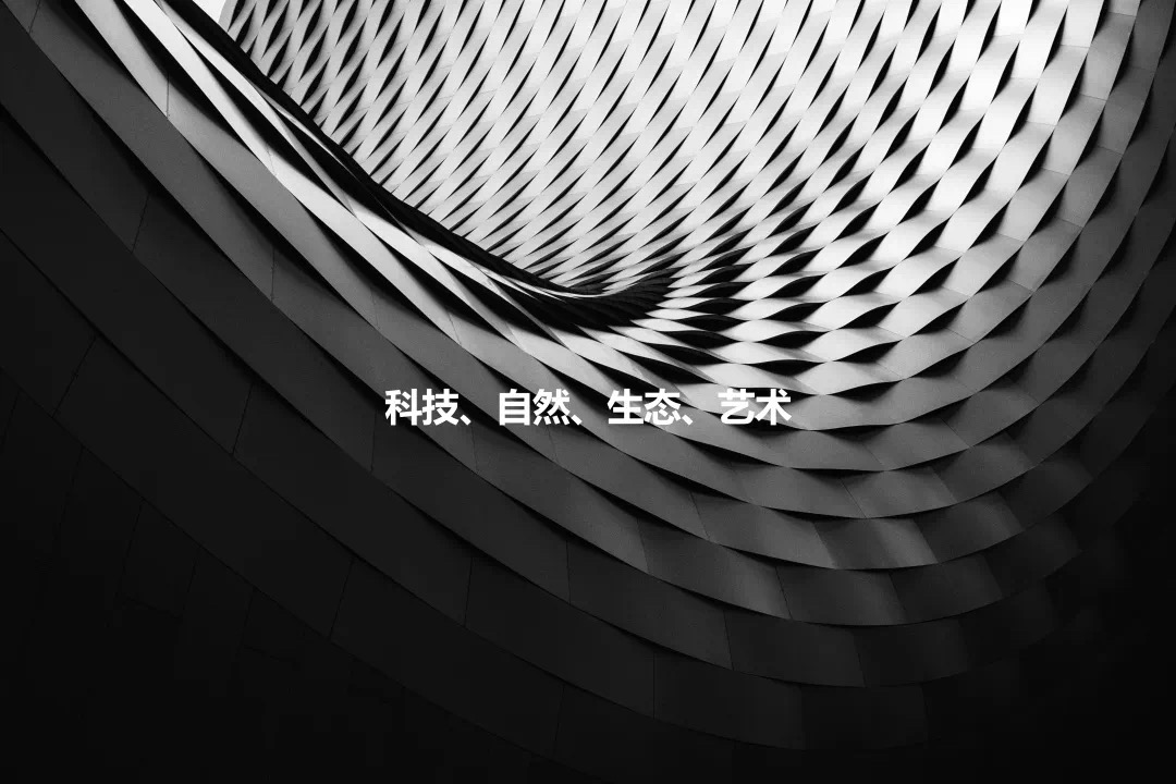 2020“为你而战”之逆战篇