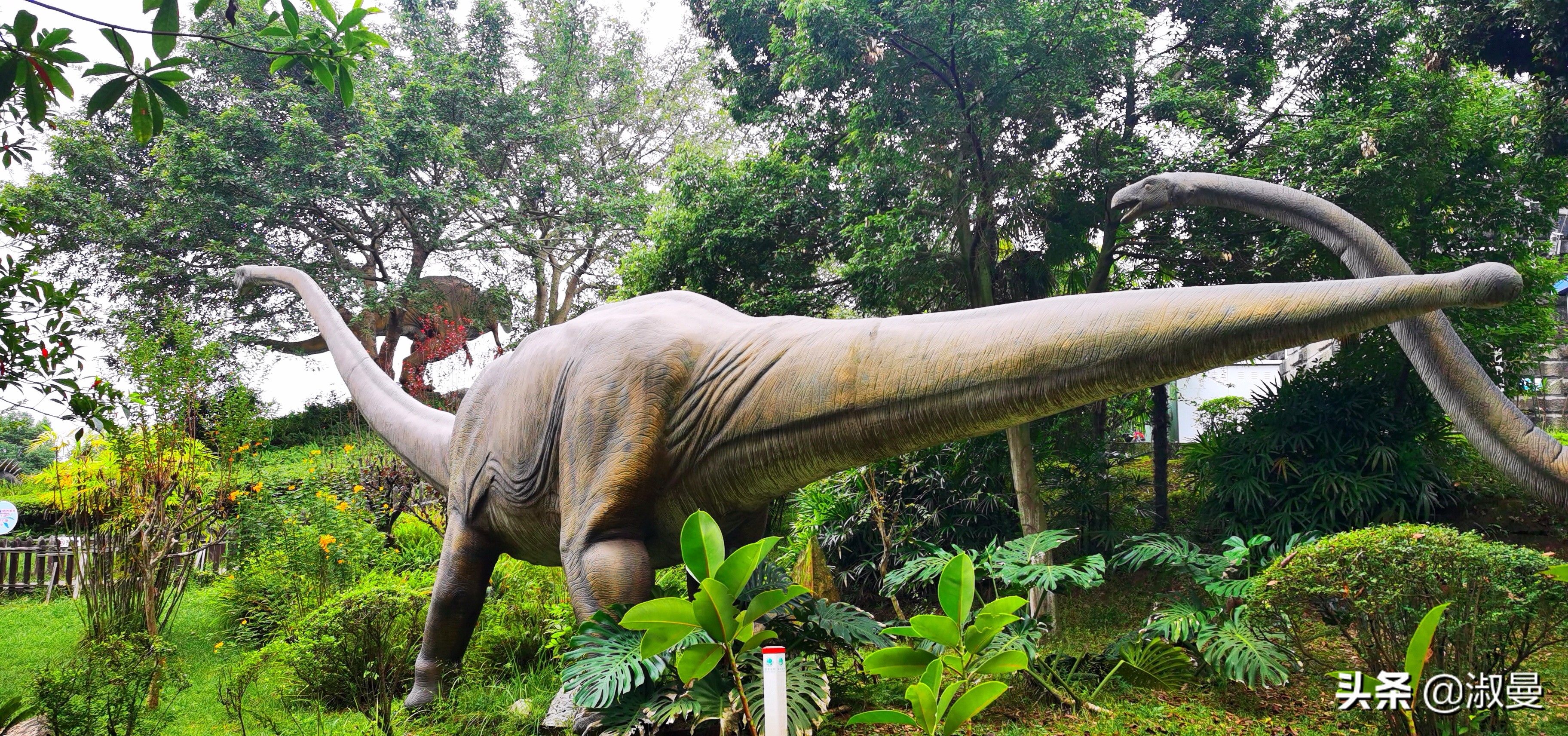 恐龙距今多少年前灭绝,恐龙灭绝前有人类吗