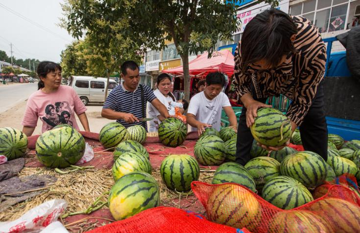 为什么日韩游客在国内买西瓜,如何把国内的西瓜卖到韩国